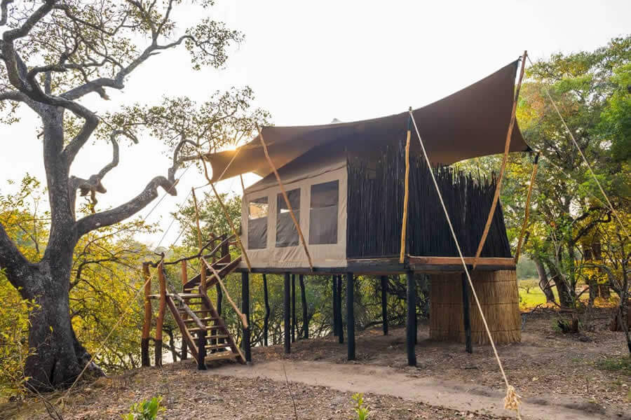 Fig Tree Camp