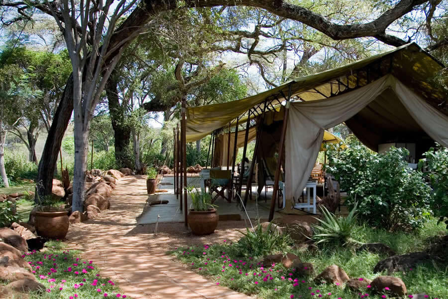 Offbeat Meru Lodge