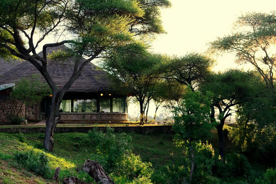 Tarangire Safari Lodge