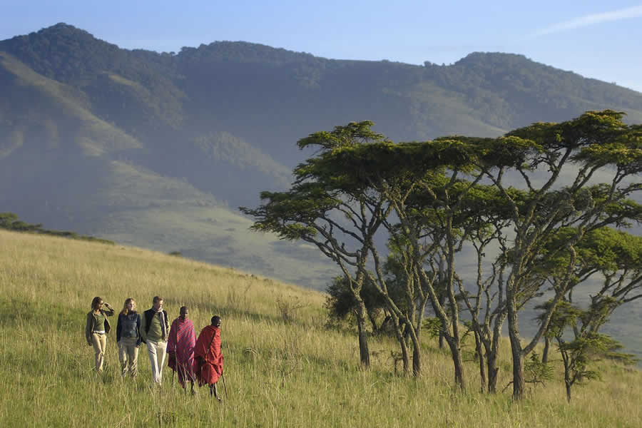 Birdwatching in Chyulu Hills