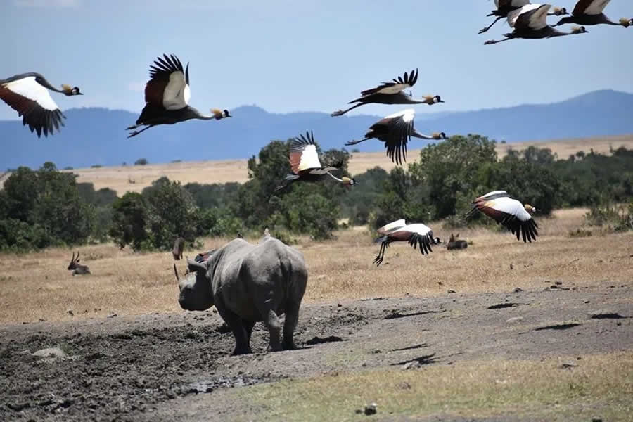 Mount Kenya National Park