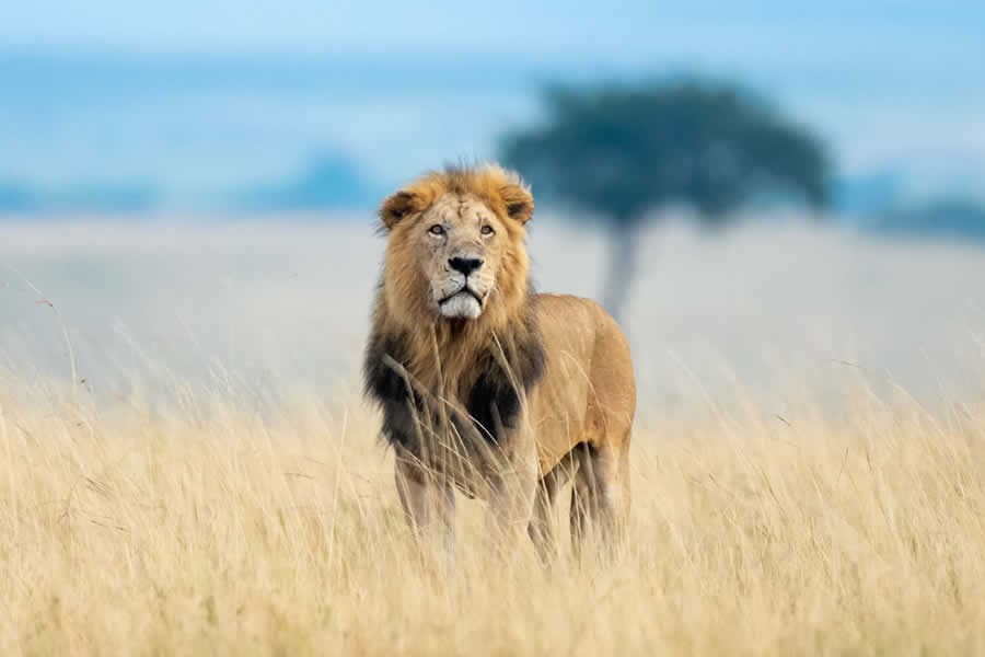 Serengeti National Park