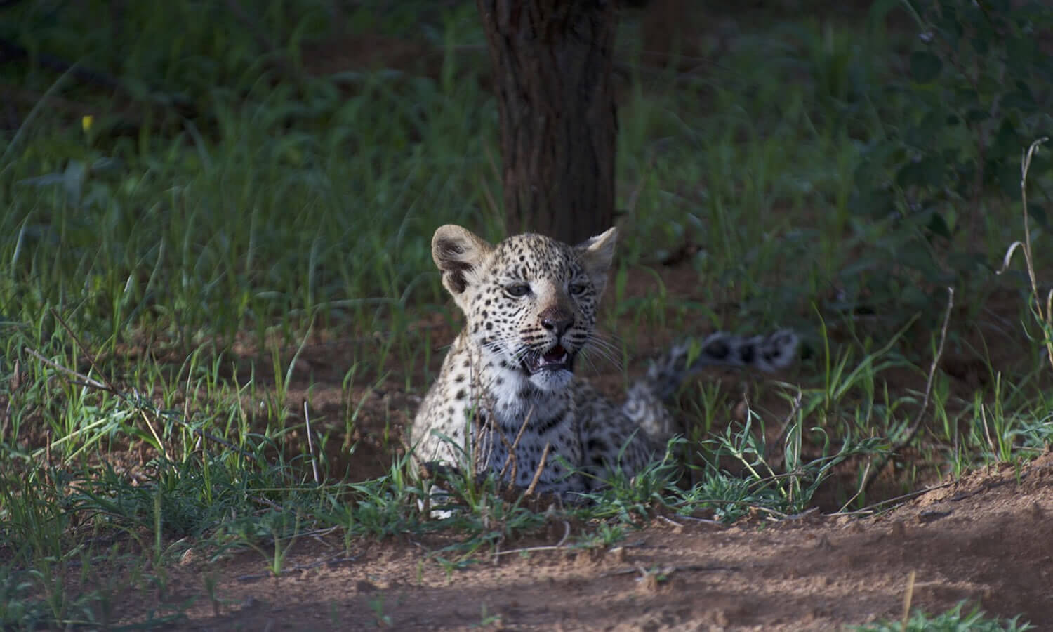 Aberdare - Samburu - Nakuru - Mara