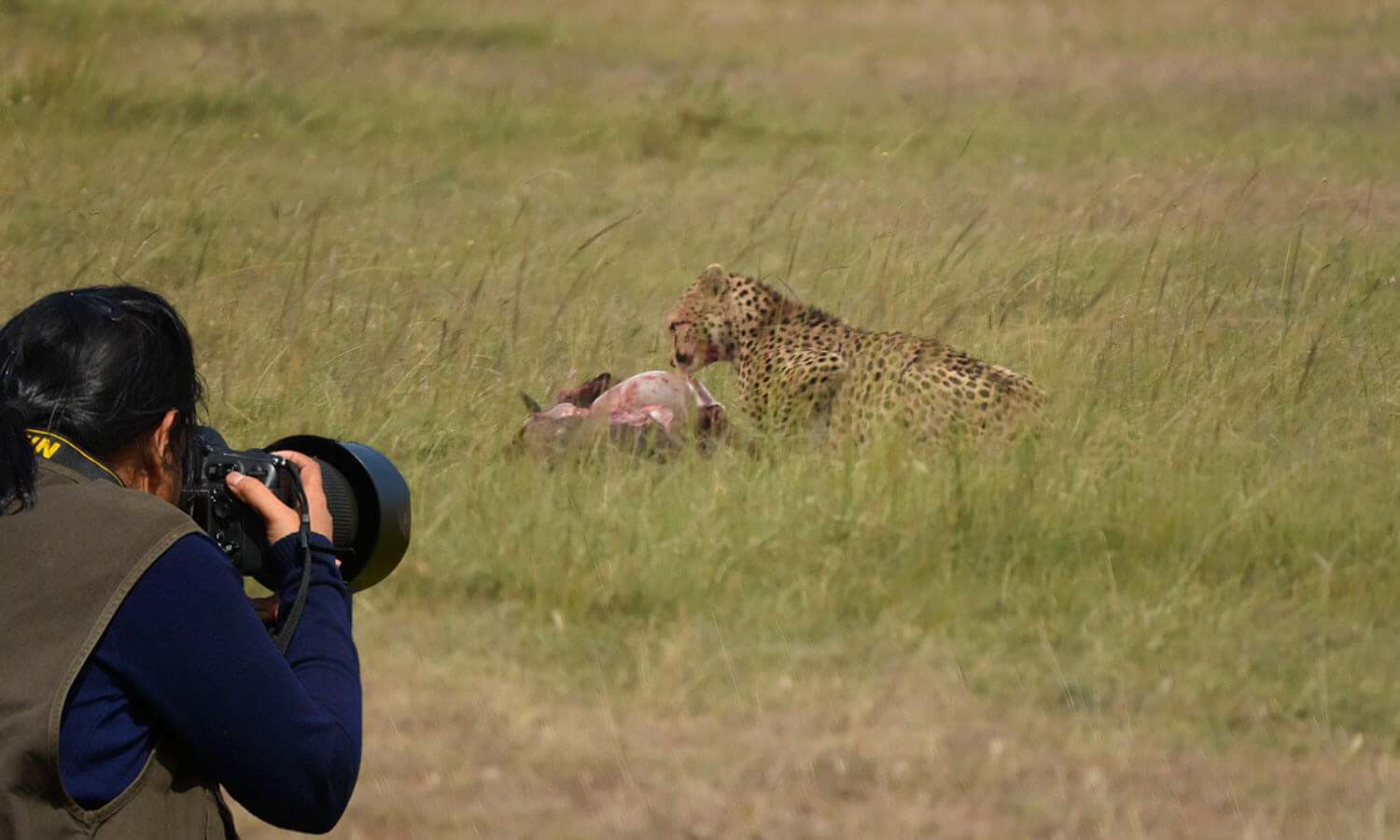 Arusha / L.Manyara / Ngorongoro / Serengeti / Tarangire