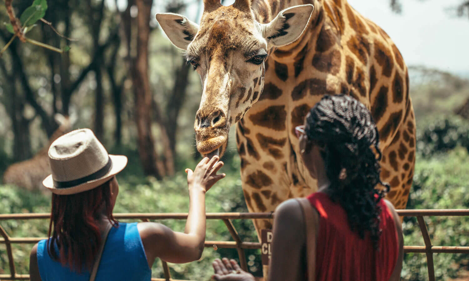 Karen Blixen, Giraffe Manor