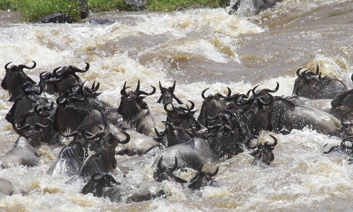 Maasai Mara Reserve