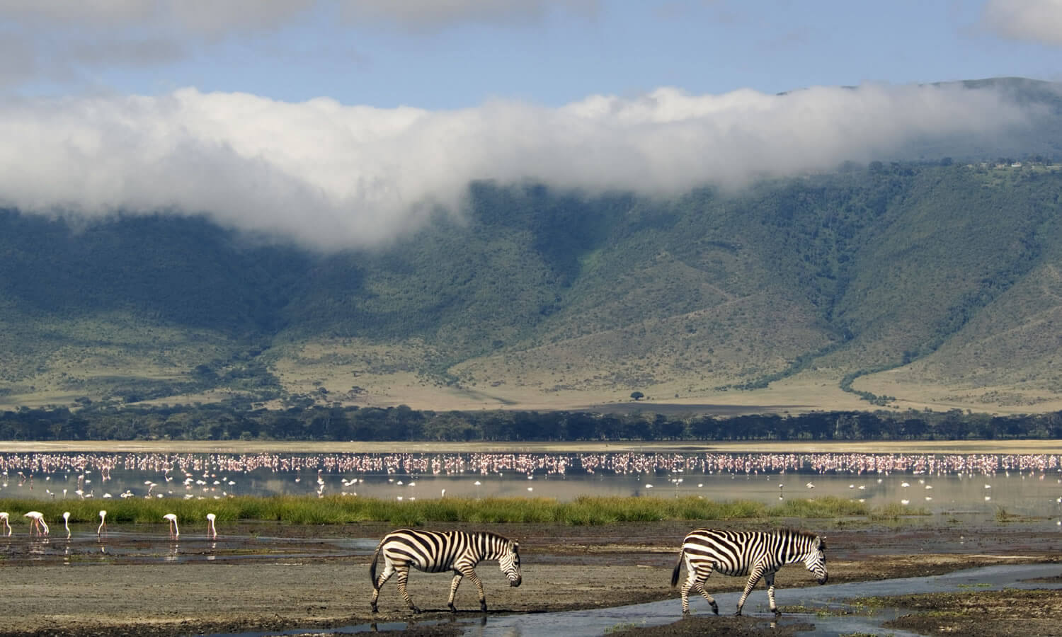 5 Days | Lake Manyara, Ngorongoro, Serengeti