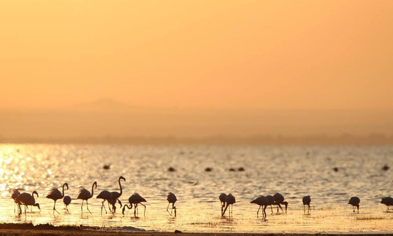 L. Manyara / Ngorongoro / Serengeti