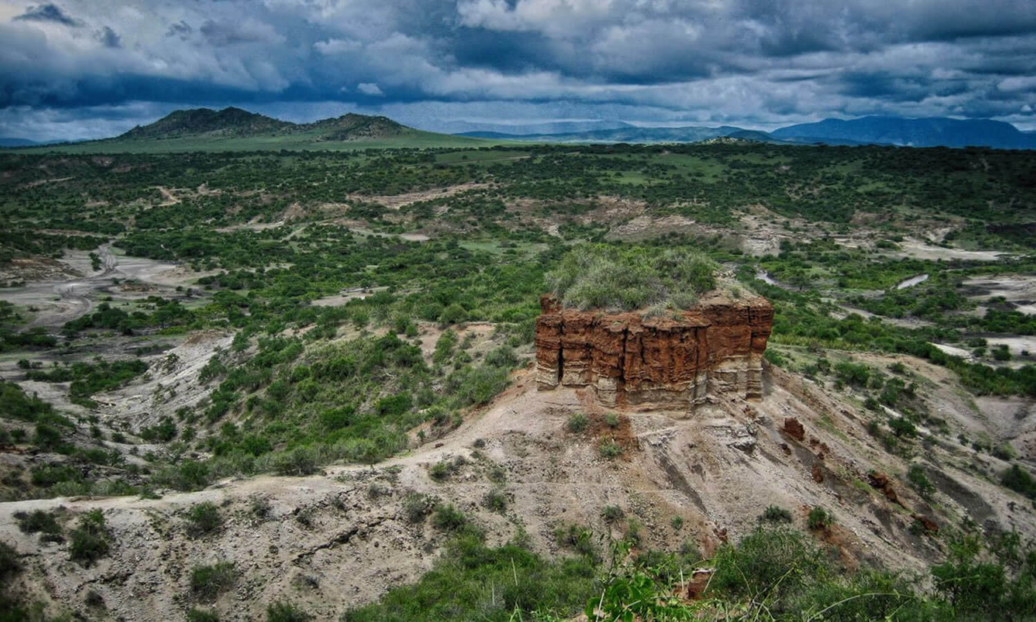 L. Manyara / Ngorongoro / Tarangire