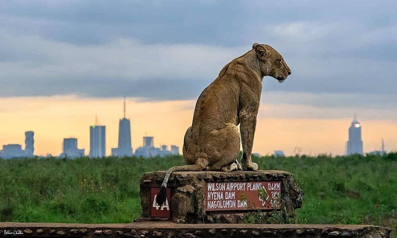 Nairobi National Park