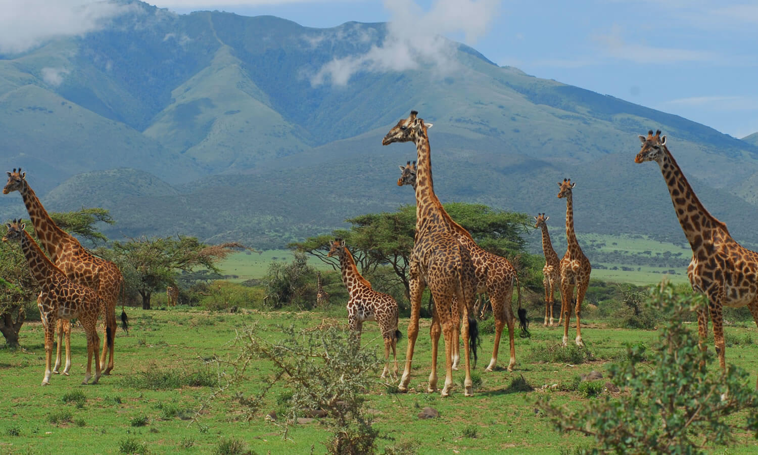 3 Days | Ngorongoro Crater and Lake Manyara