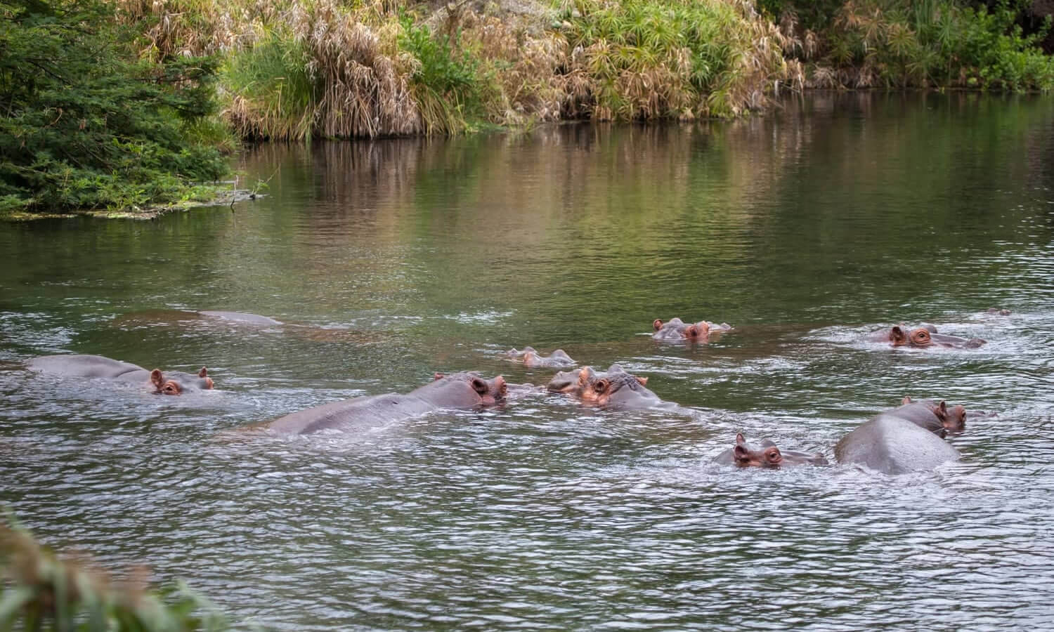 Tsavo East National Park